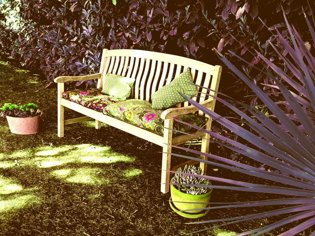 B&B Vigna Rosa Trevignano Romano Bagian luar foto