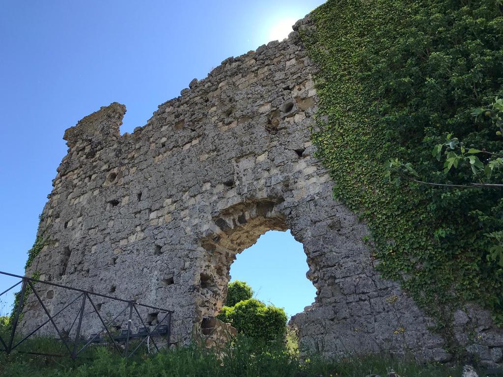 B&B Vigna Rosa Trevignano Romano Bagian luar foto